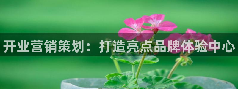 必赢平台官方下载
