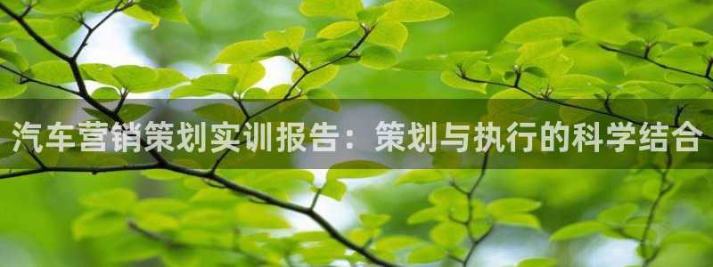 必赢72886是黑网站么
