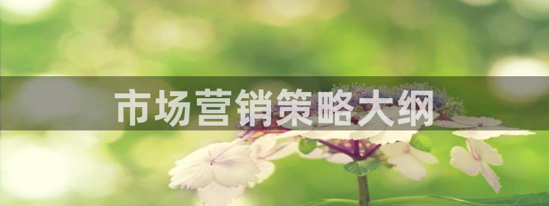 必赢官网下载