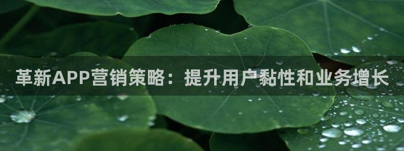 必赢官网app下载苹果版