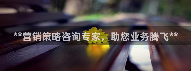 必赢集团怎么样