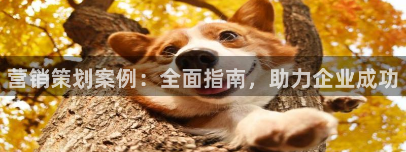 必赢图片