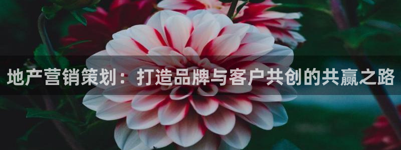 必赢公司