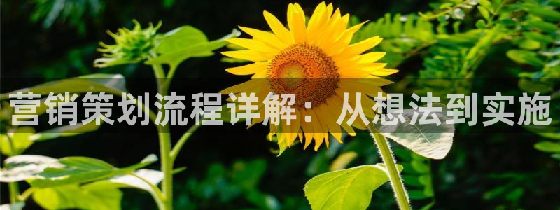 数30技巧必赢三个数
