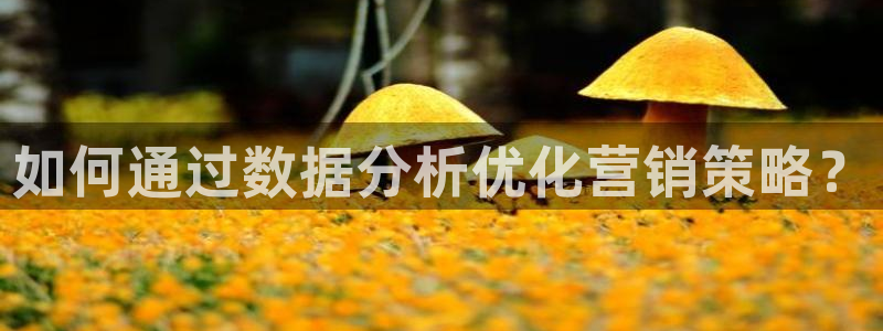必赢3003手机网页版