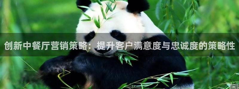必赢网站是哪一个公司的