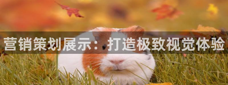 必赢365官方网登录