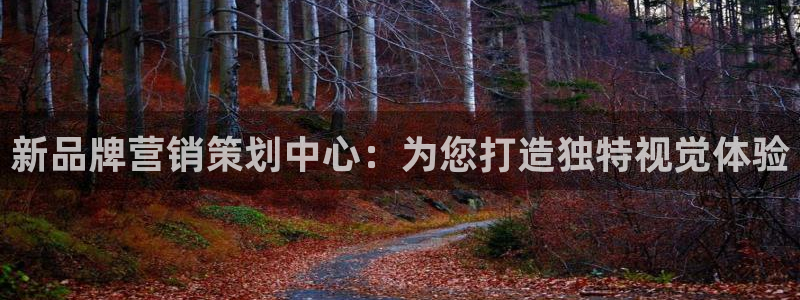 必赢官网app下载安装手机版苹果