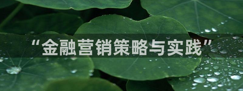 必赢手机app下载官网最新版