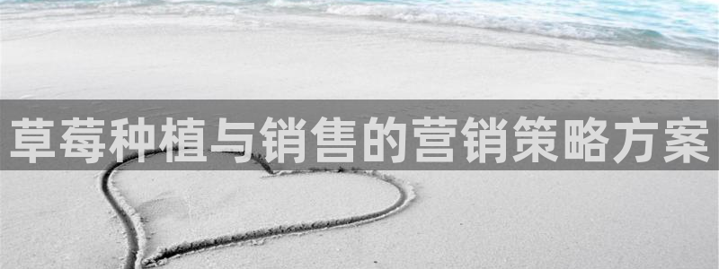 必赢手机app下载 最新版安装