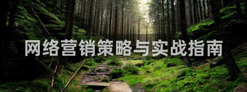 必赢网站是哪一个