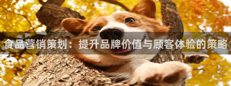 必赢下载安卓版最新版