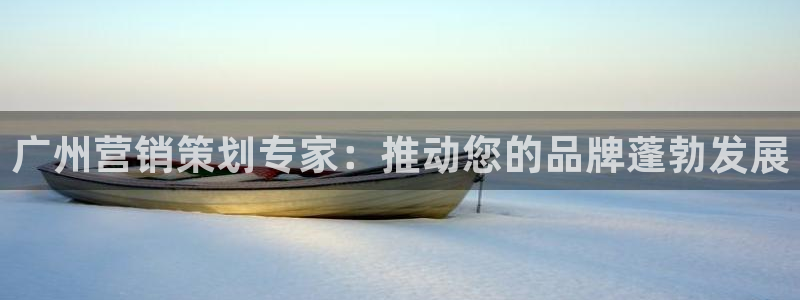必赢565net官网