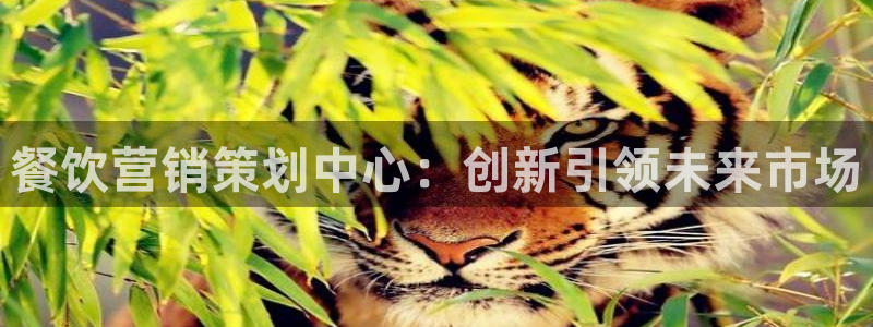 必赢平台官方网站登录