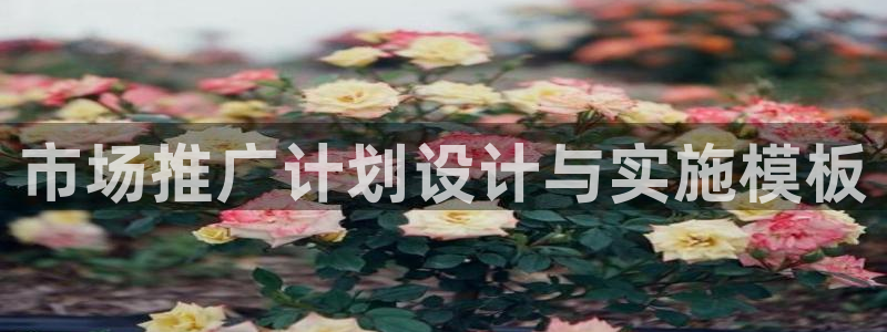 必赢亚赢网站官网下载安装最新版