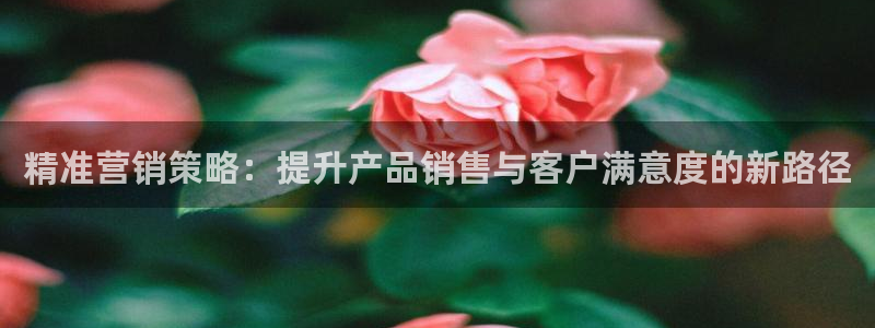 必赢集团网站官网