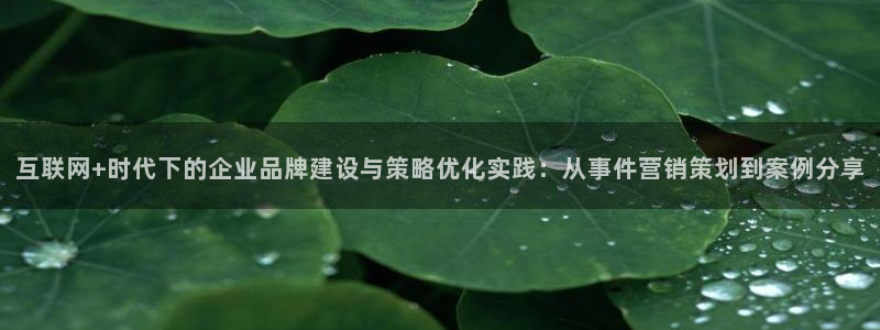 必赢3003+会员账号