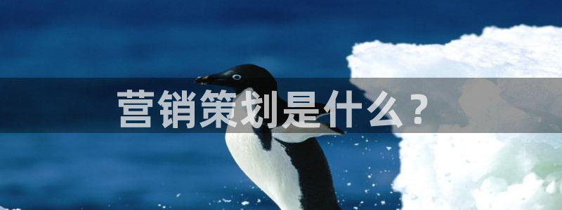 必赢集团网站改成多少