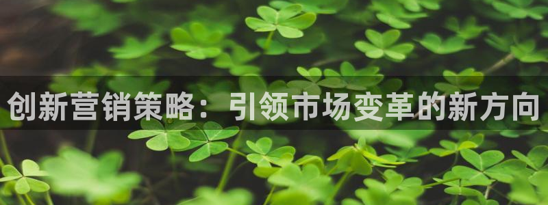 必赢平台怎么样知乎