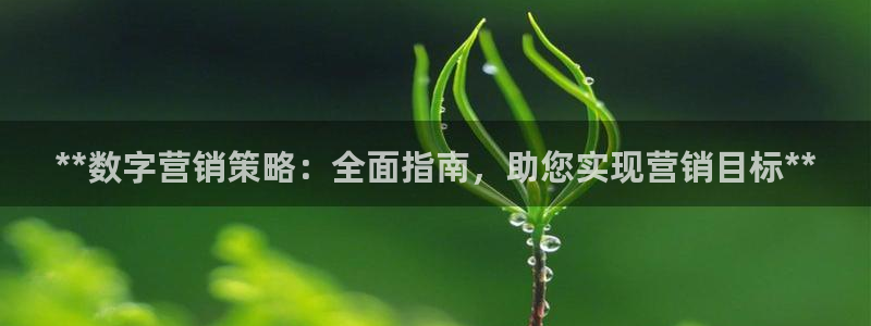 必赢565net官网网站
