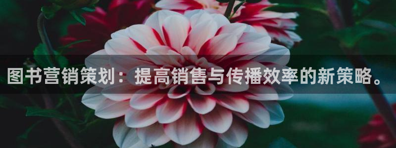 必赢手机app下载最新版安卓苹果可以用吗