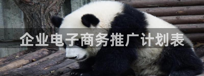 必赢手机版网站多少