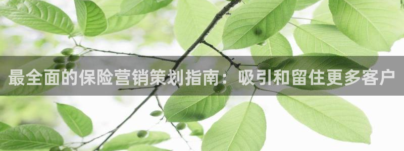 必赢网址手机主页在哪