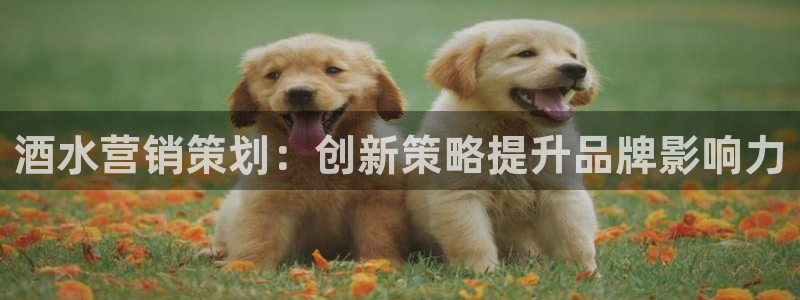 必赢官网入口下载app