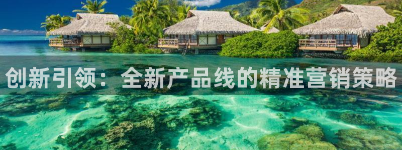 必赢棋盘app下载官网