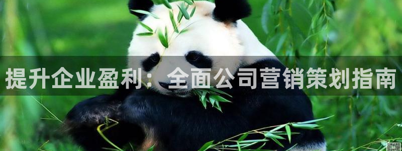 必赢网站是哪一个