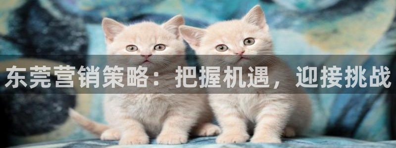 必赢网站