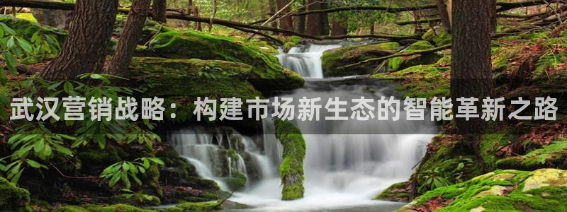 必赢旧网站：武汉营销战略：构建