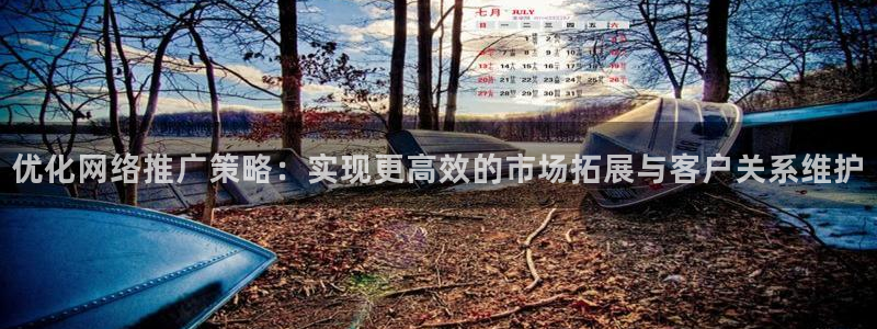必赢国际怎么样：优化网络推广策