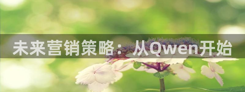 必赢网站是多少啊