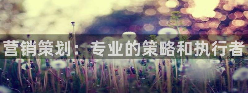 必赢最新官网：营销策划：专业的
