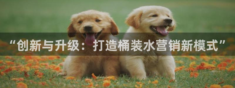 必赢官网app下载安装苹果