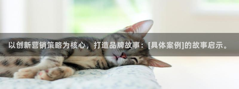 必赢集团winex