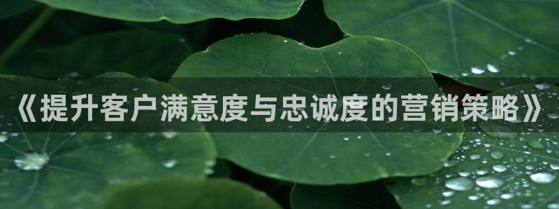 必赢手机版app下载官网