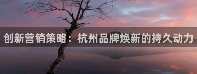 必赢国际437网页版