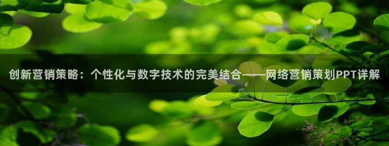 必赢国际437a：创新营销策略