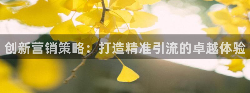 必赢国际437官方介绍：创新营
