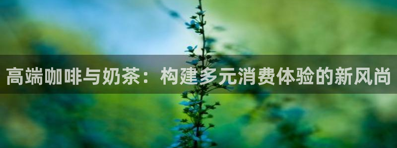 必赢官网app下载安装：高端咖