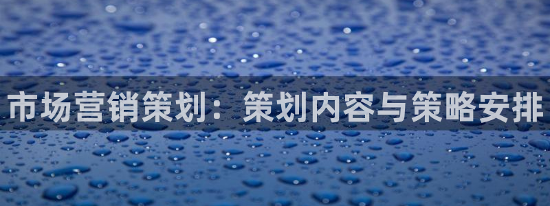 必赢手机app下载安装