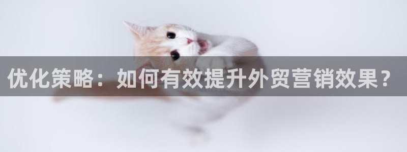 必赢国际437官网版