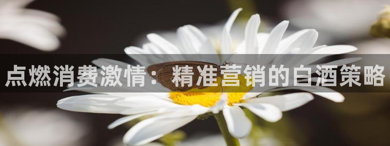 必赢九五
