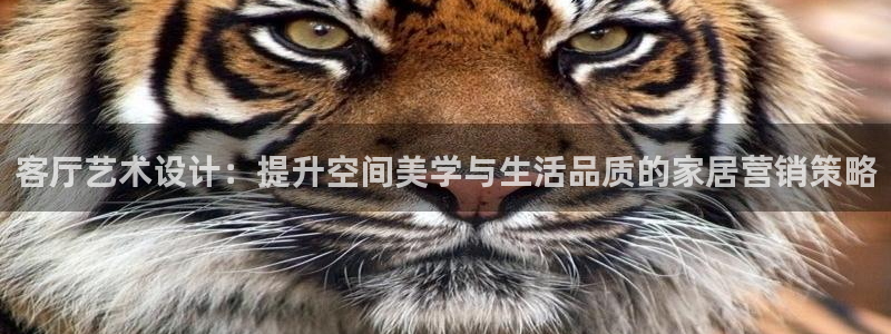必赢国际437pay,comapp