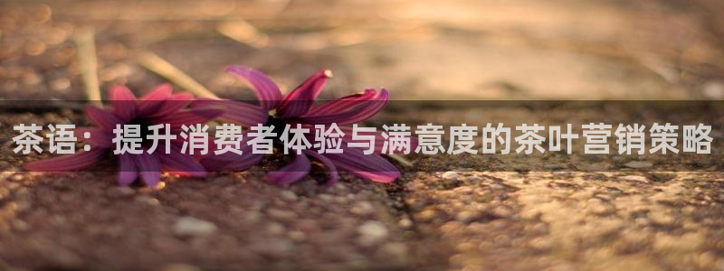 必赢棋盘9965.0版本