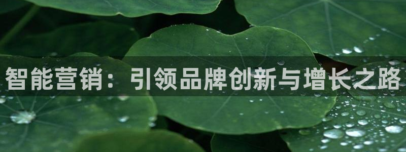 必赢科技