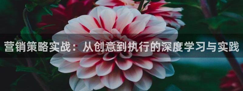 必赢官网下载安装