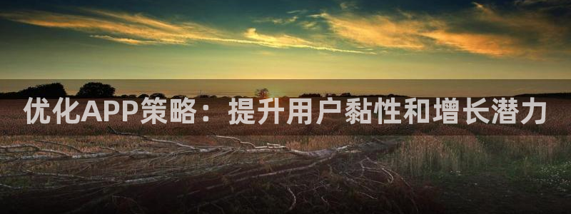 必赢国际官网登录